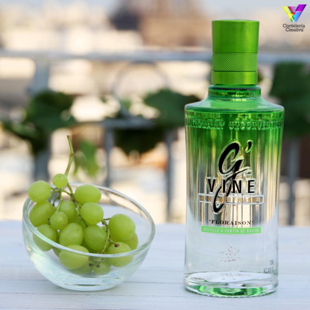 GVine Gin imagen botella GVine Gin