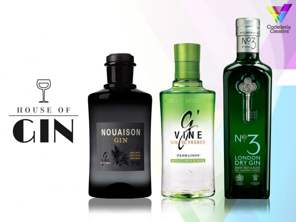House of Gin: Nouaison, GVine Floraison y No3 London Dry Gin imagen House of Gin con Nouaison, GVine y No3 london dry gin