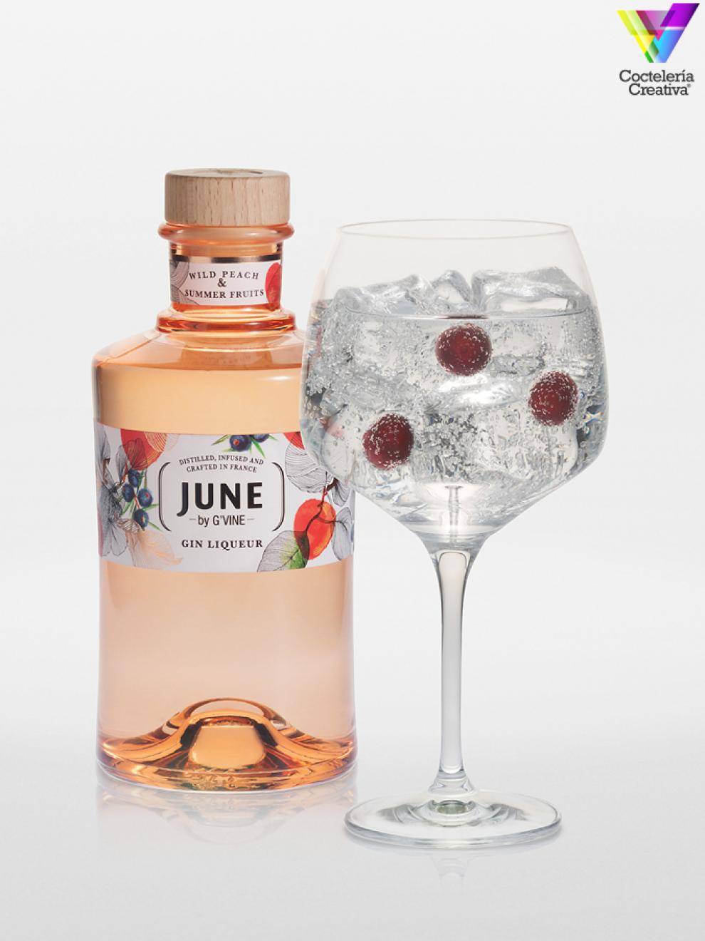 june liqueur of gin by gvine imagen del licor de melocotón de viña june by gvine