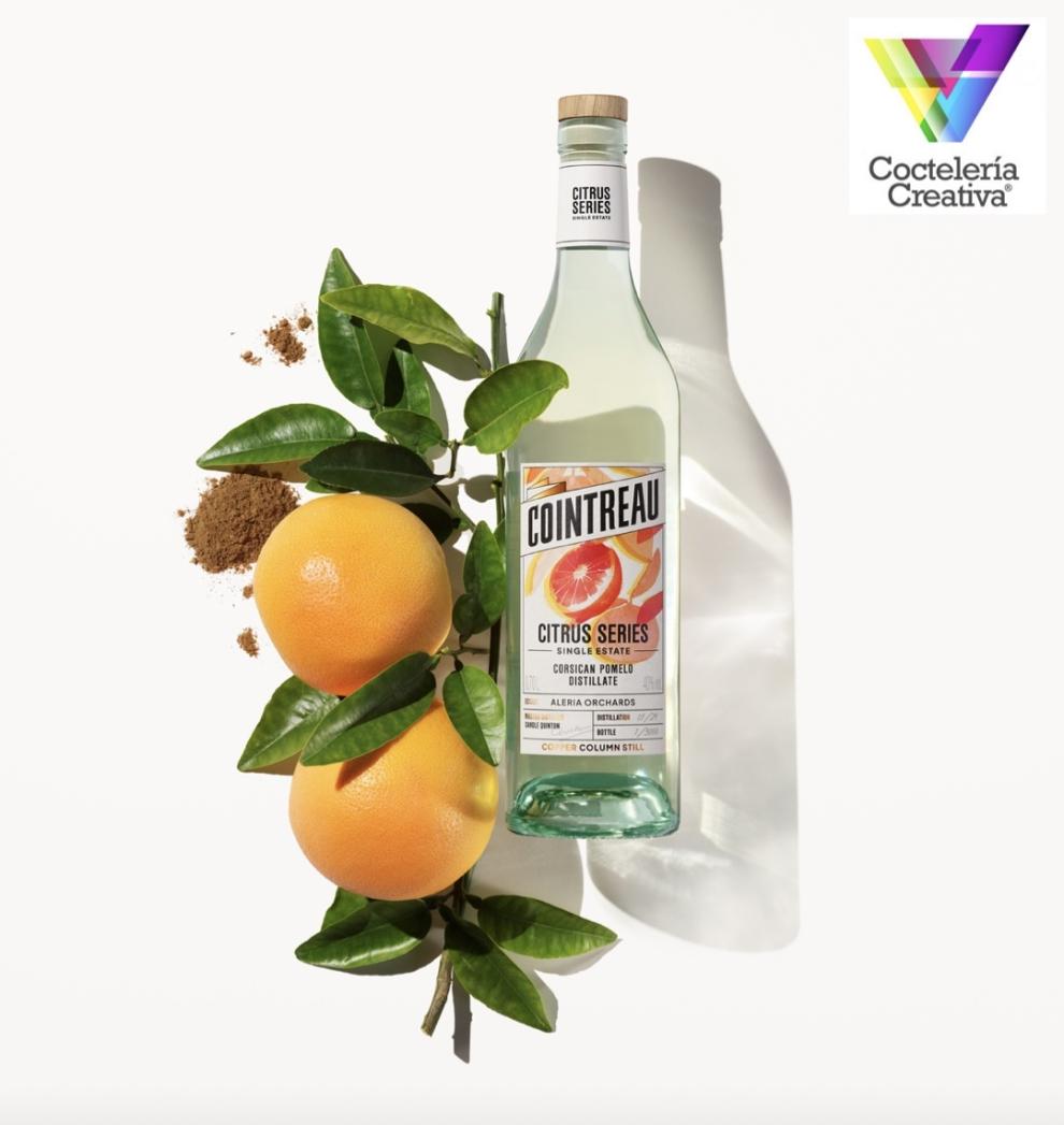 imagen botella y pomelos Cointreau Citrus Series